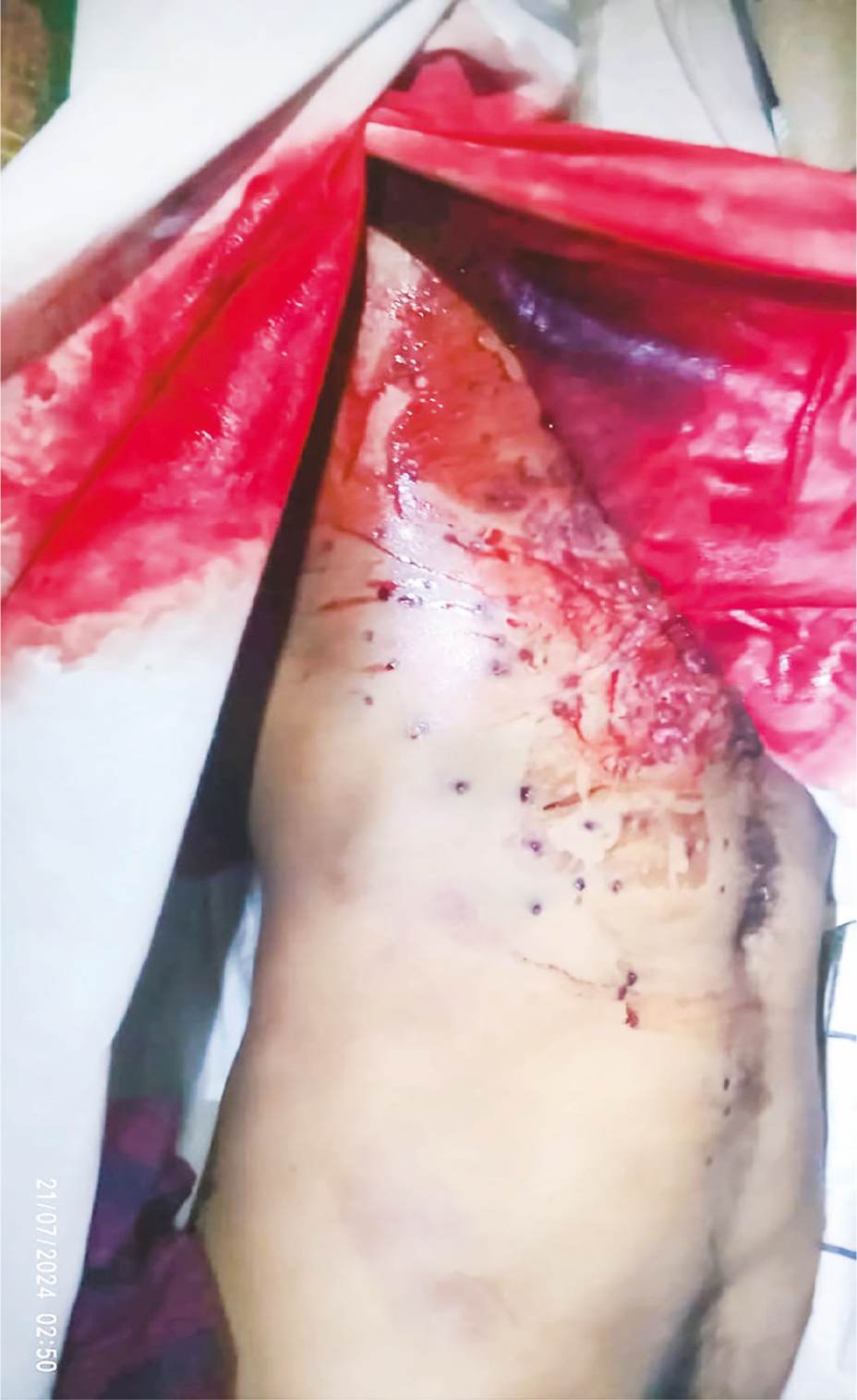 Image of মো:  হুমায়ুন কবির
